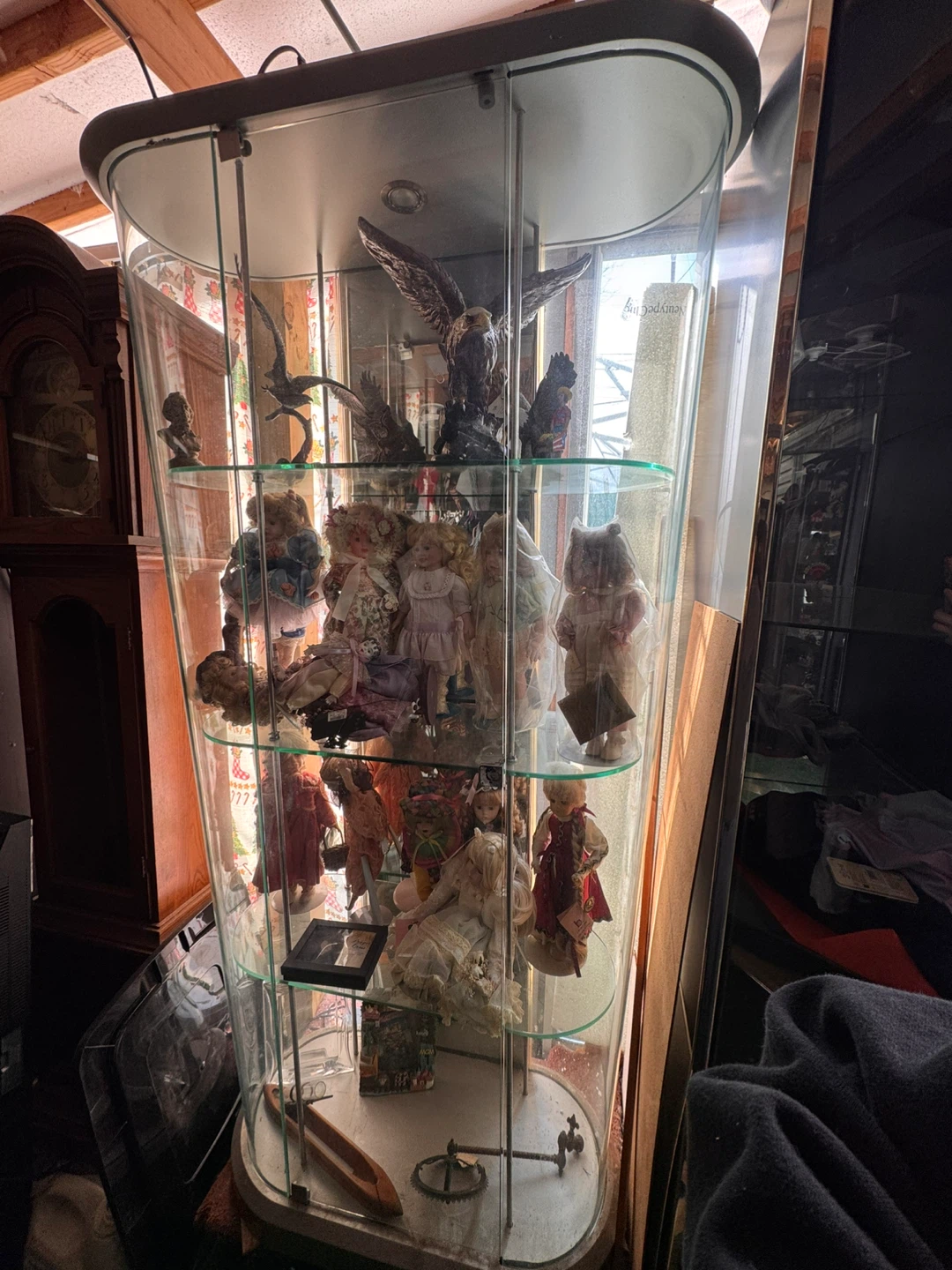 Curved Glass Display Cabinet