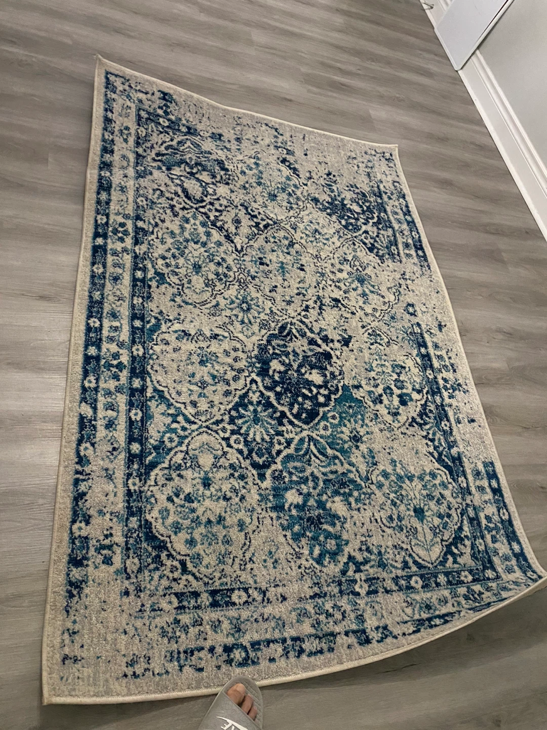 Je Veux Home Transitional Chic Rug 4' x 6' Grey/Blue