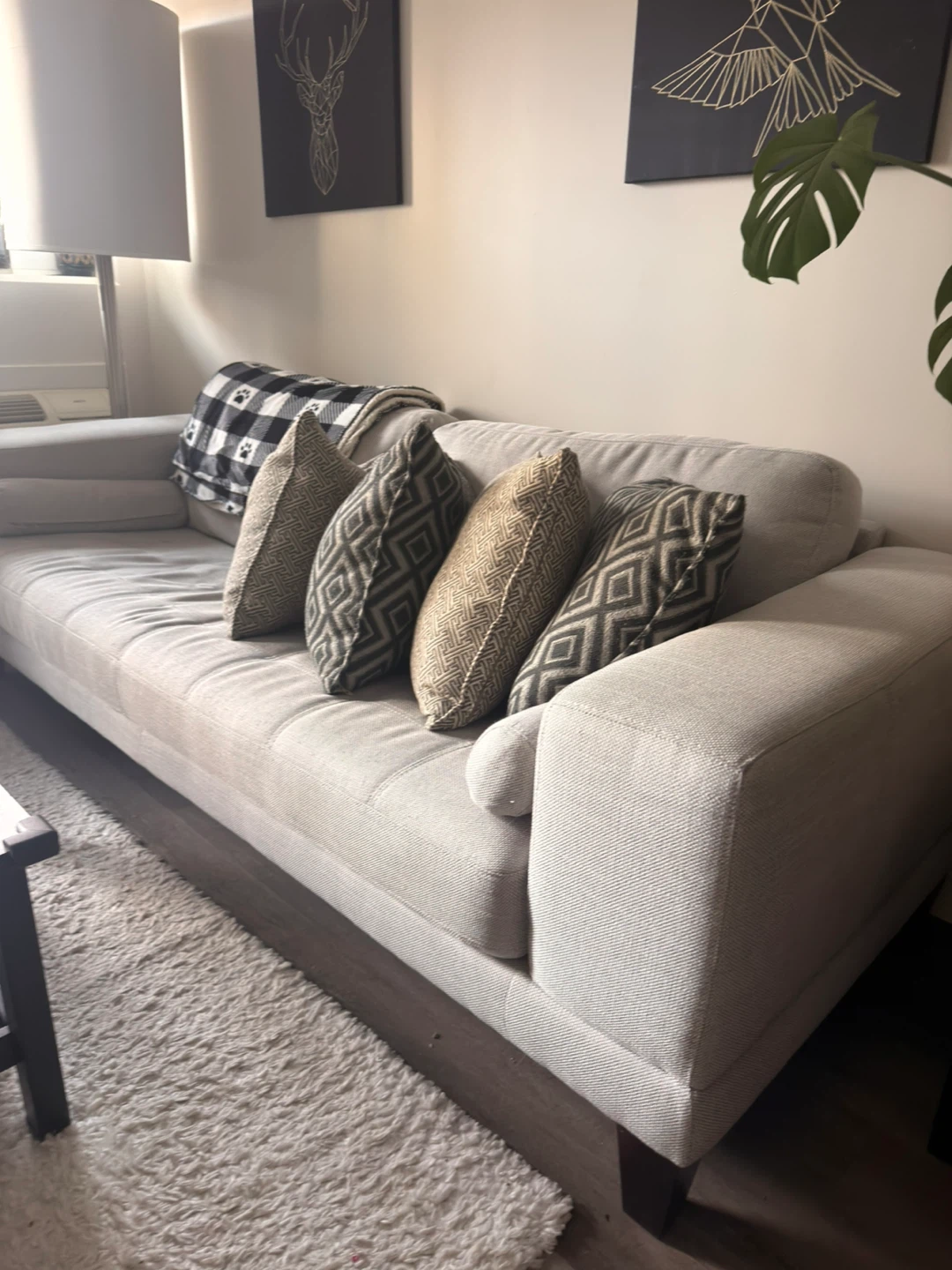 Grey Sofa with Decorative Pillows and Throw Blanket