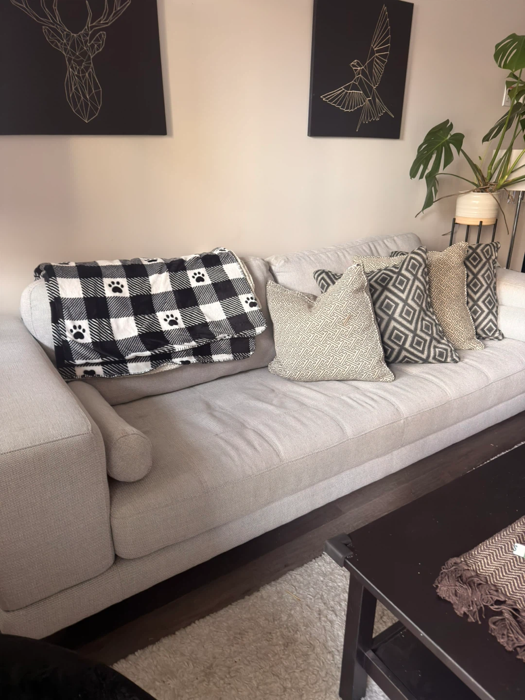 Grey Sofa with Decorative Pillows and Throw Blanket - photo 2