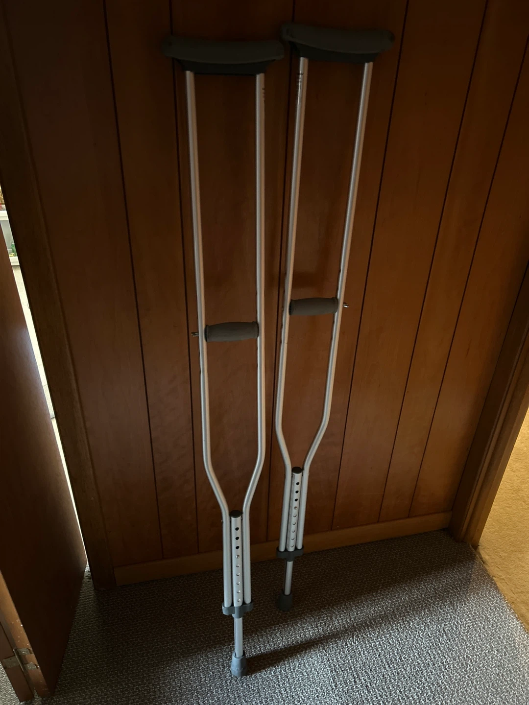 Pair of Aluminum Crutches
