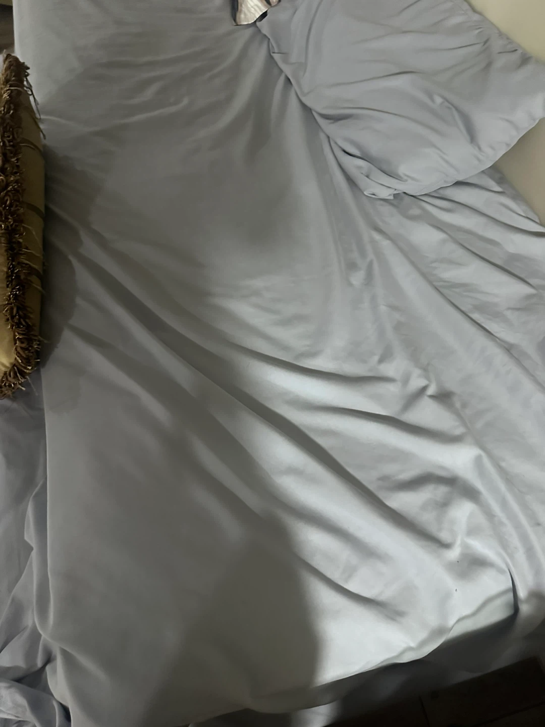 Black Metal Bed Frame and 2 mattress - photo 3