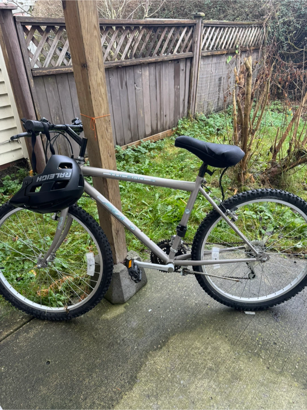 Raleigh Mountain Bike and Helmet
