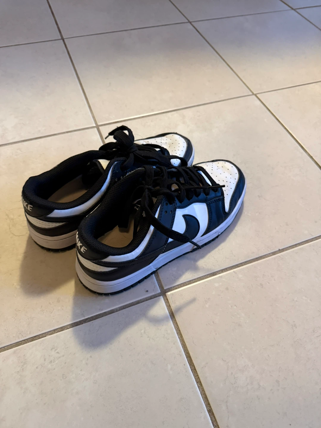 Nike Dunk Low Shoes