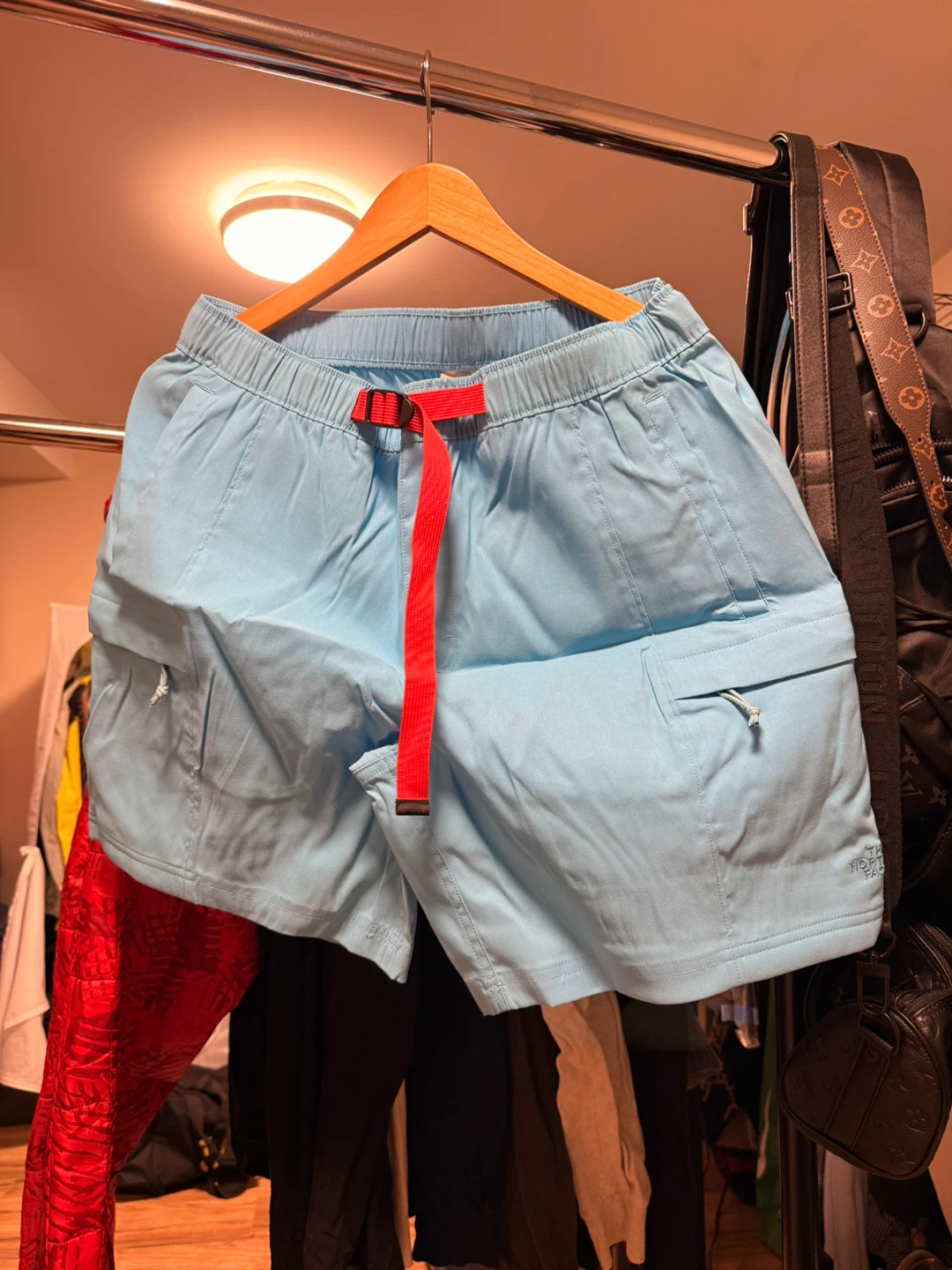 The North Face Men's Shorts