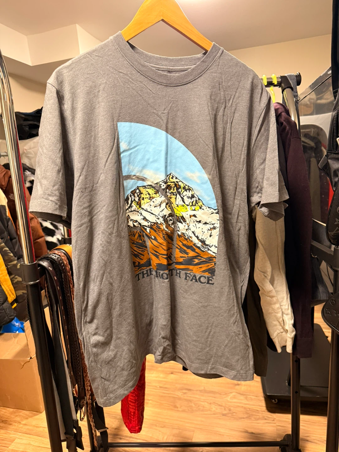 The North Face Grey Graphic T-Shirt
