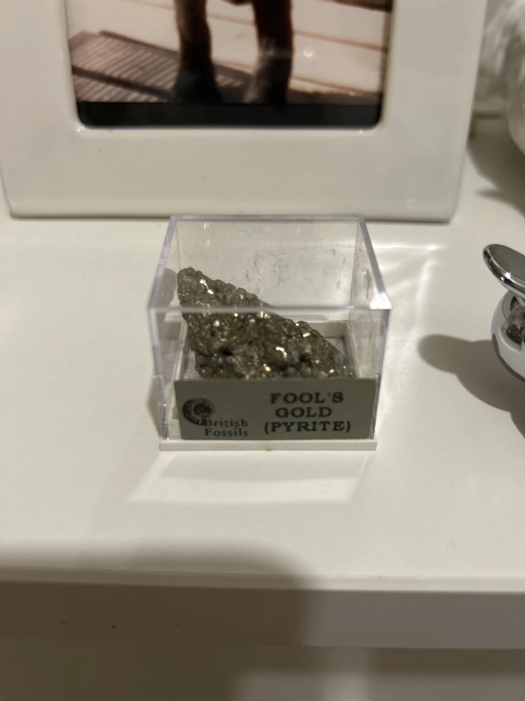 British Fossils Fool's Gold (Pyrite) Specimen