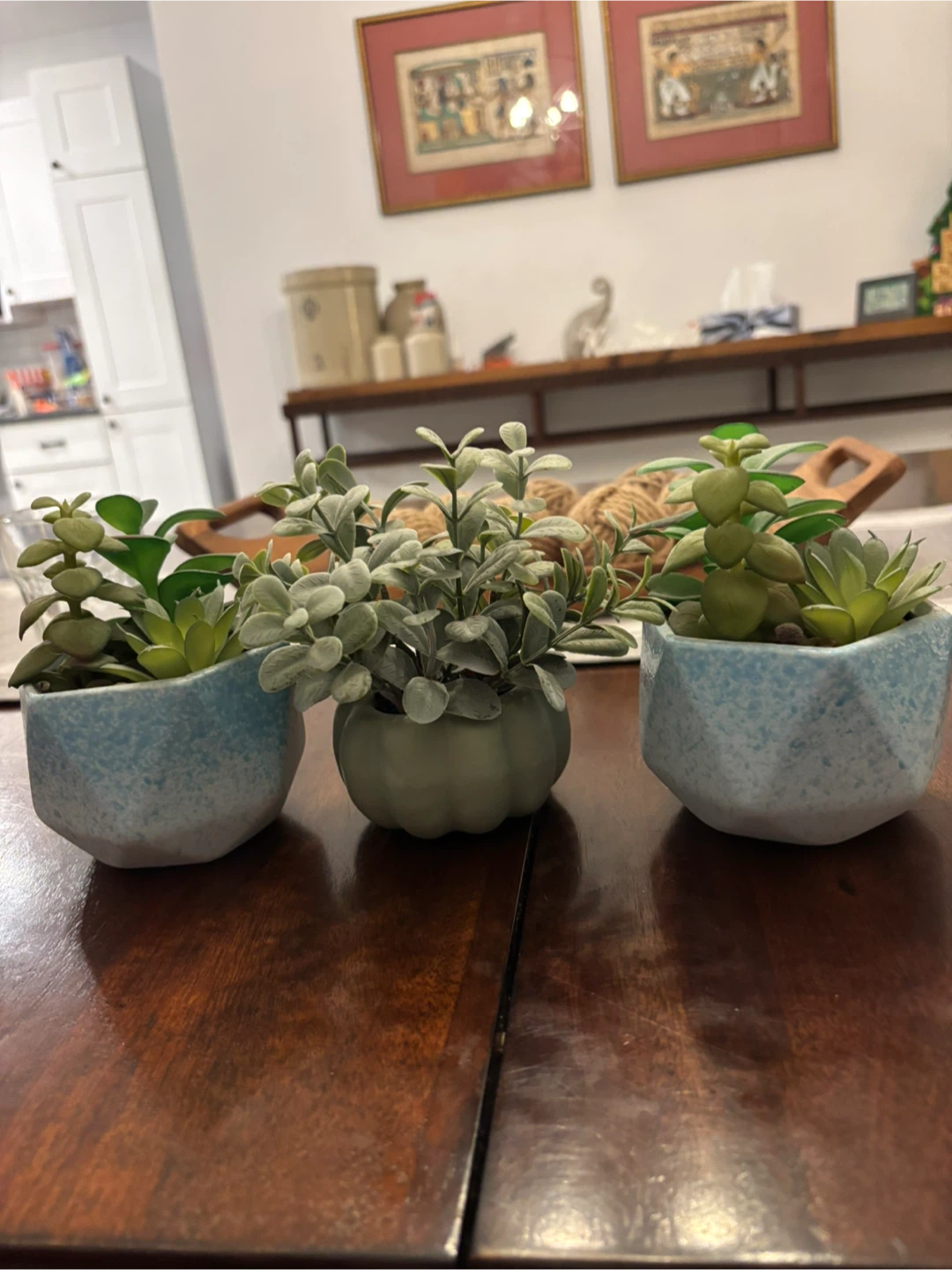 Set of 3 Faux Succulent Plants in Blue Geometric Planters