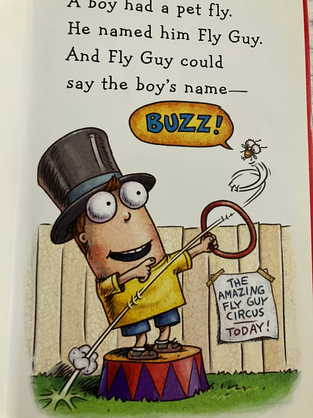 Fly Guy's Amazing Tricks Children's Book by Tedd Arnold - photo 2