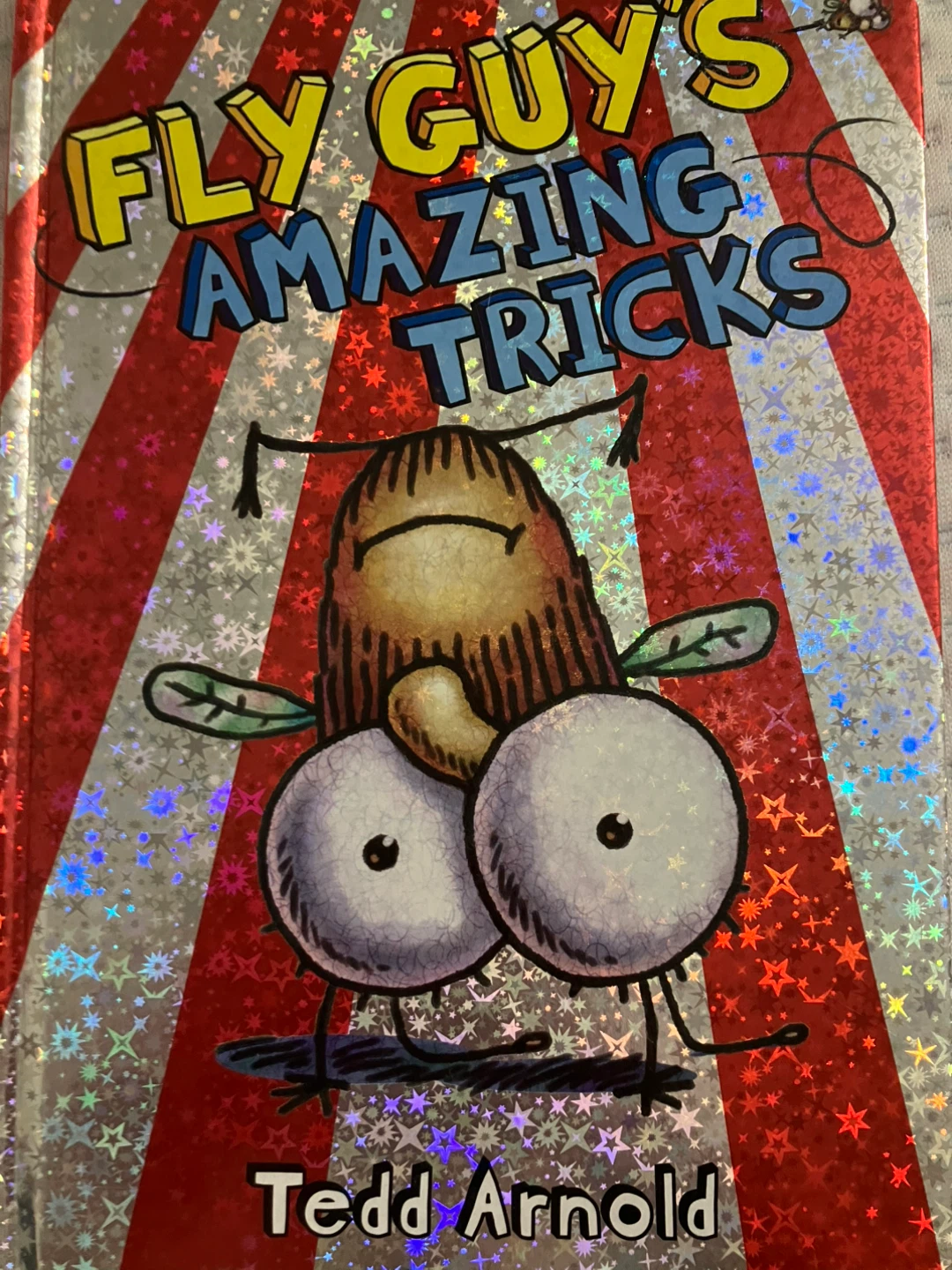 Fly Guy's Amazing Tricks Children's Book by Tedd Arnold