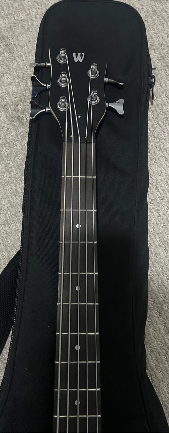 5 String Passive W Bass Guitar - photo 3