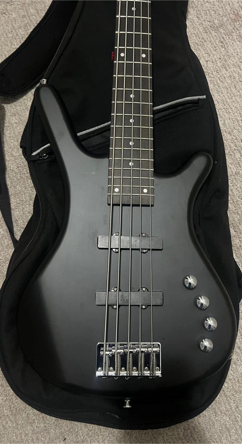 5 String Passive W Bass Guitar