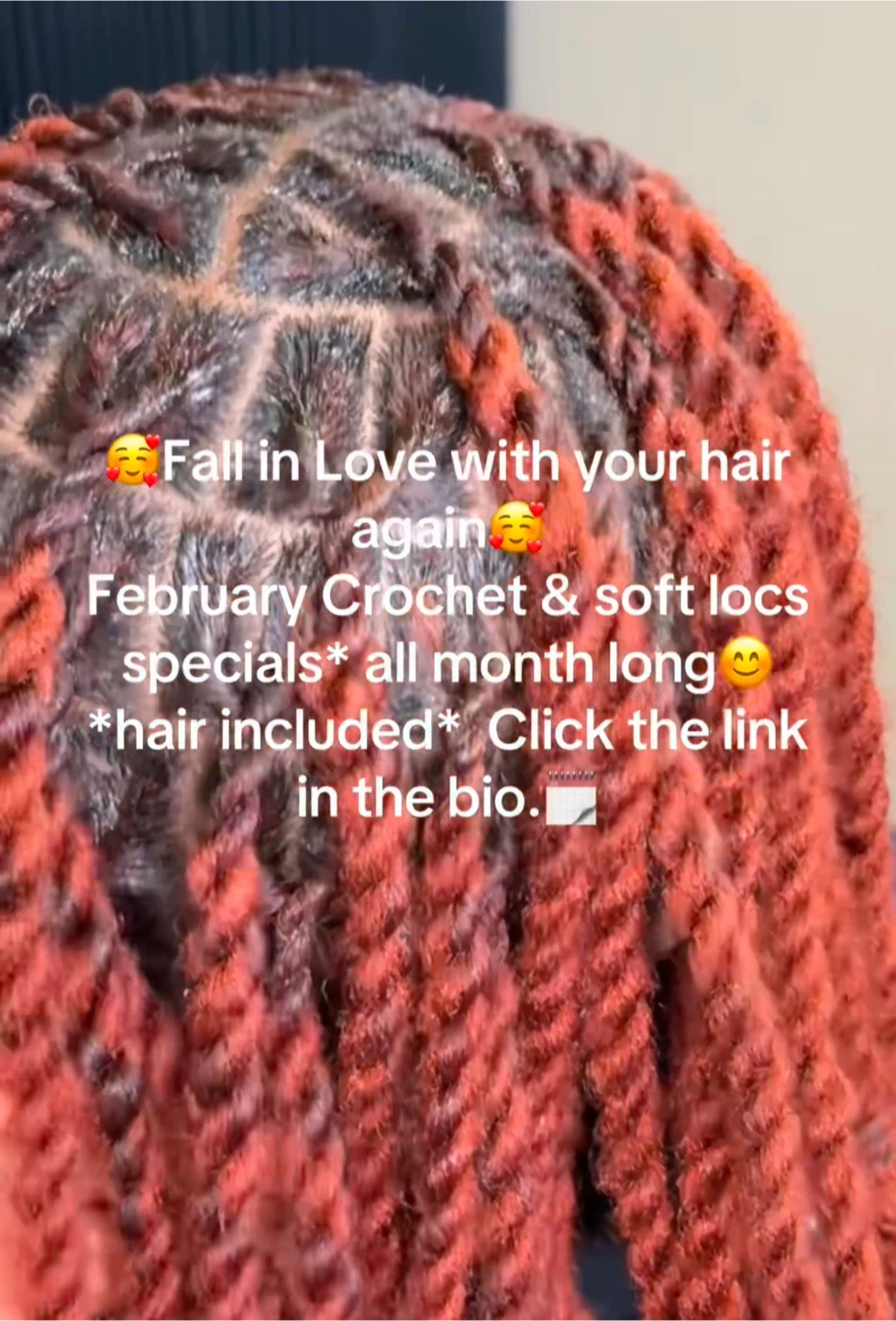 Crochet, Invisible Locs & Soft Locs Specials