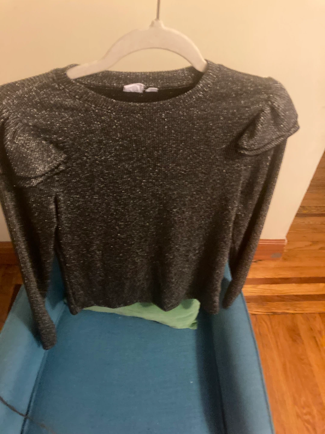 Sparkly Long Sleeve Top
