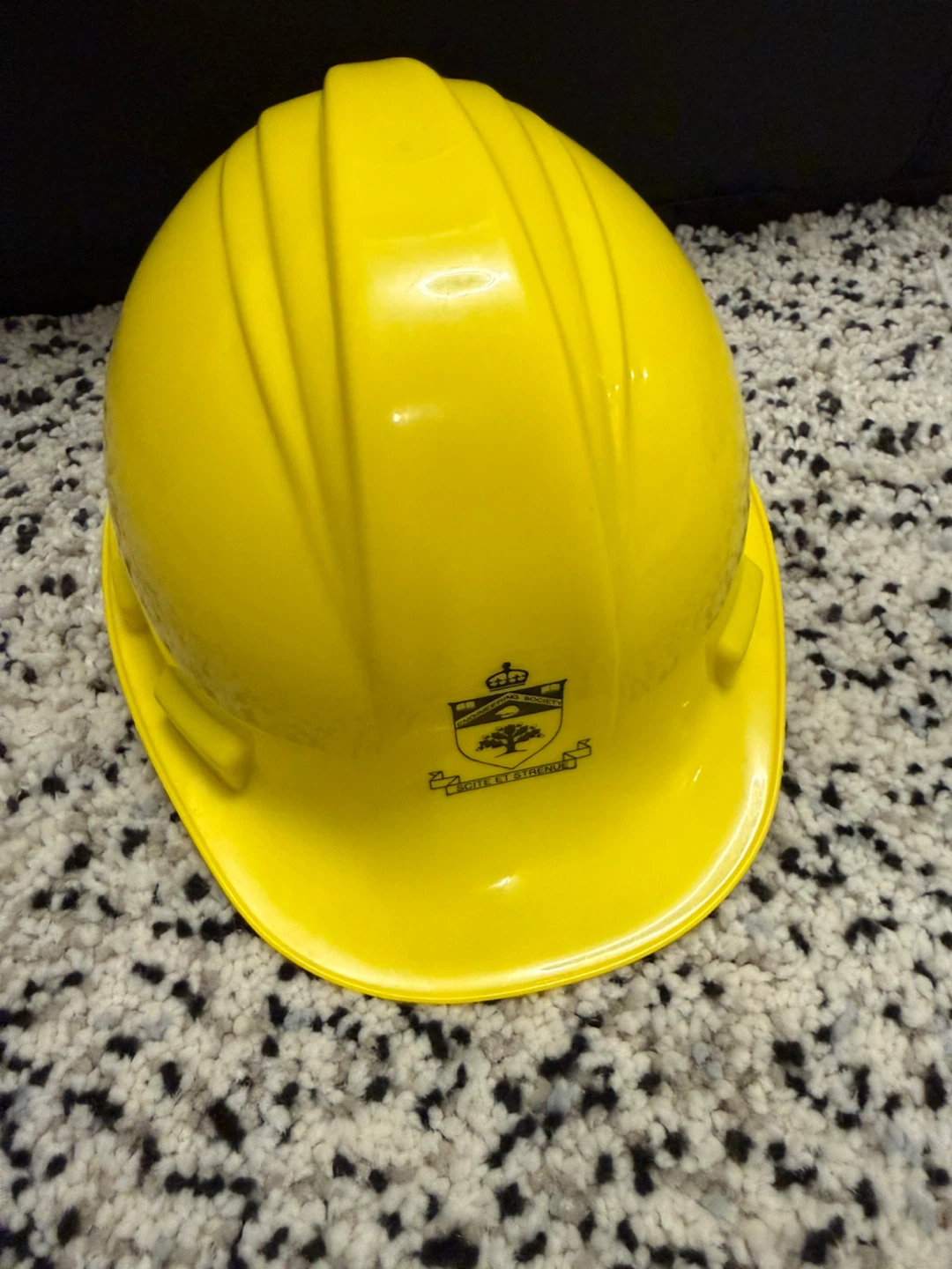 Adjustable Hard Hat
