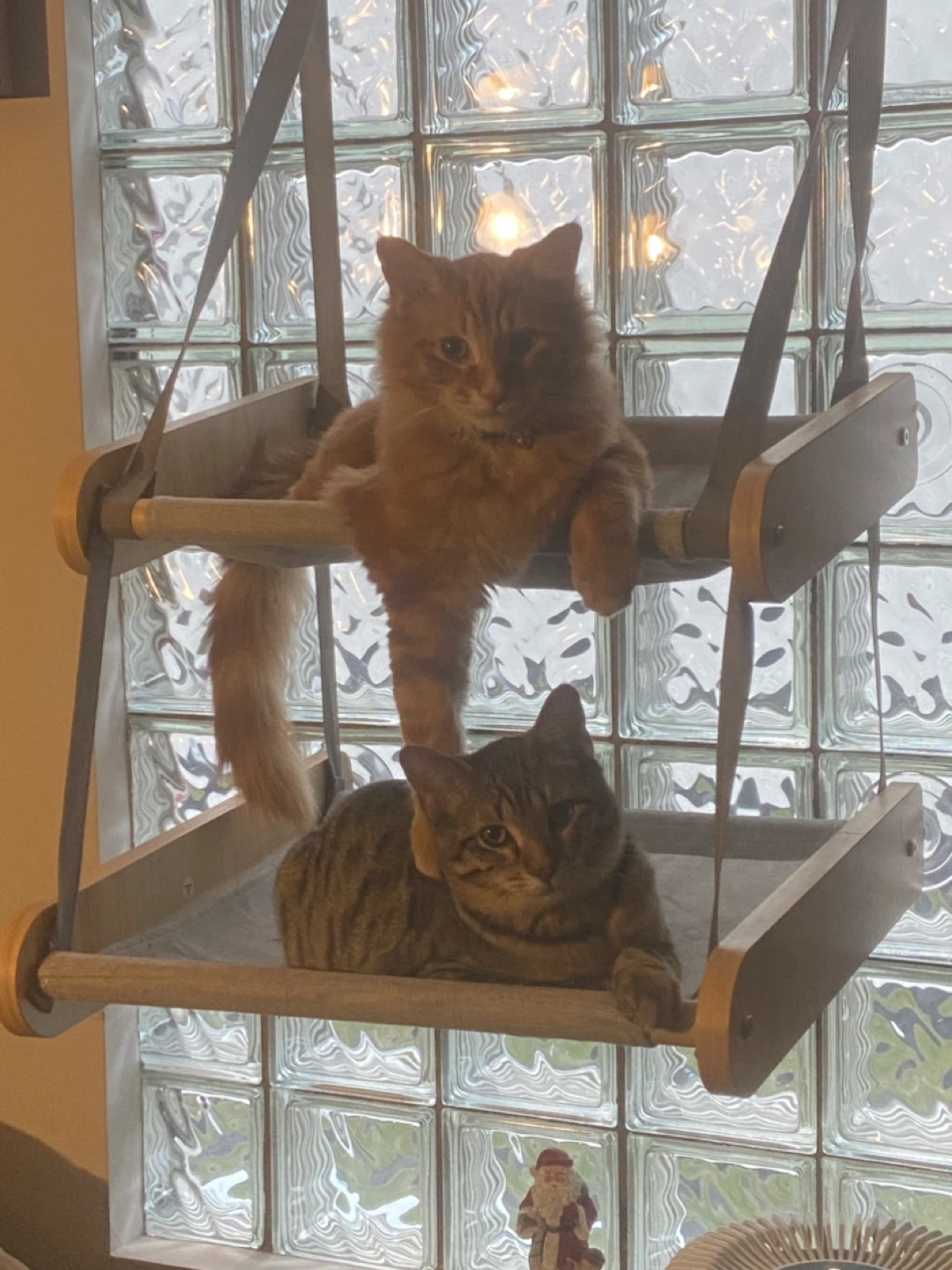 Wooden Cat Hammock with Suction Cups - photo 2
