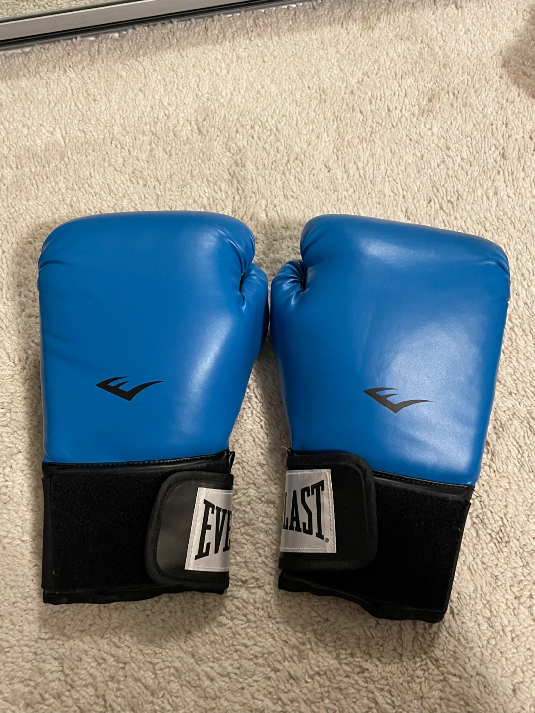 Everlast Blue Boxing Gloves - 12oz