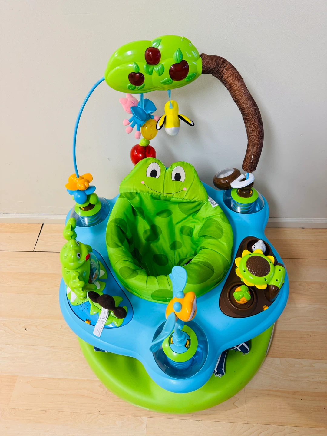 Baby Einstein Musical Jumper