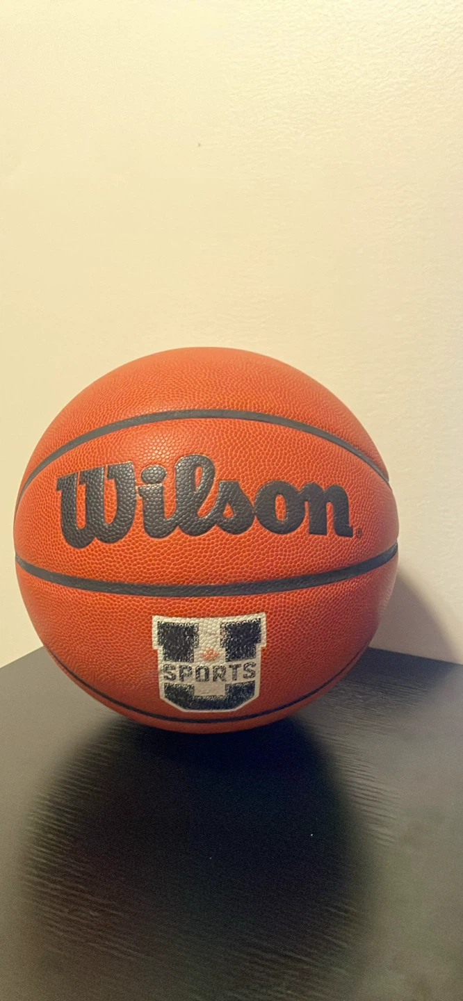 Wilson Evolution Game Basketball