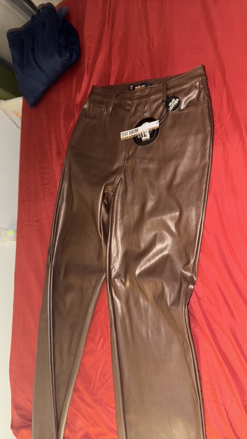 Dolce house Vegan Leather Wide Leg Pants - Brown