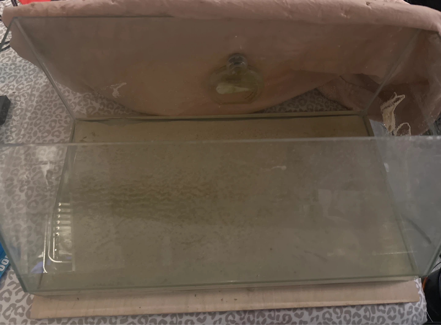 10 gallon angled tank
