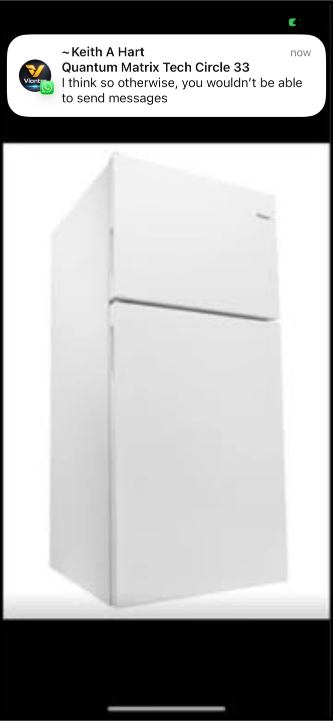 New Amana 18.2 cu ft Top Freezer Refrigerator - photo 2