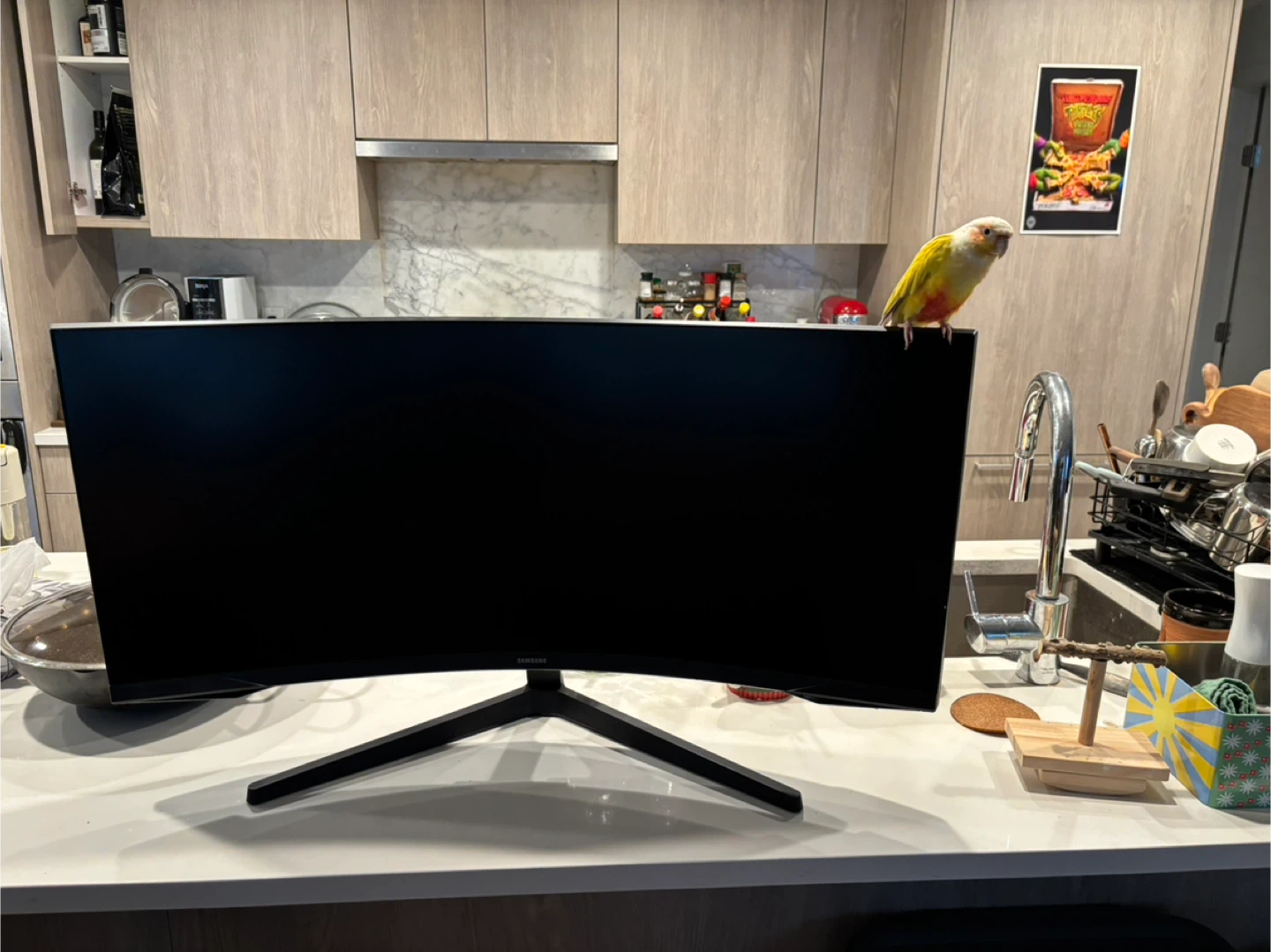 Samsung 34" Odyssey G5 Curved Gaming Monitor