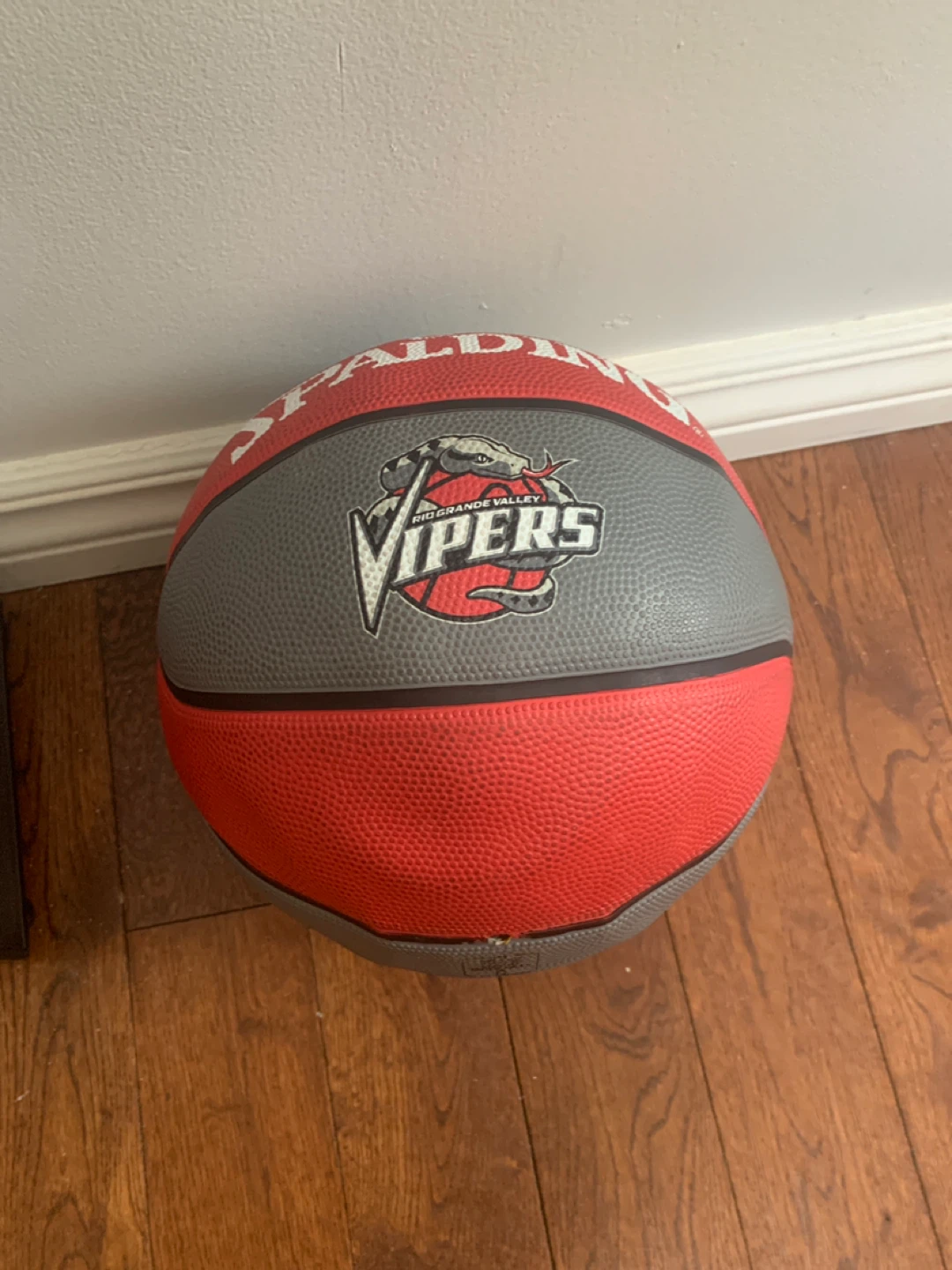 Spalding Basketball - Rio Grande Valley Vipers - photo 2