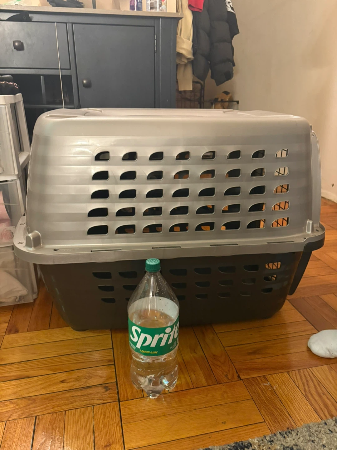 Petmate Pet Carrier - photo 3