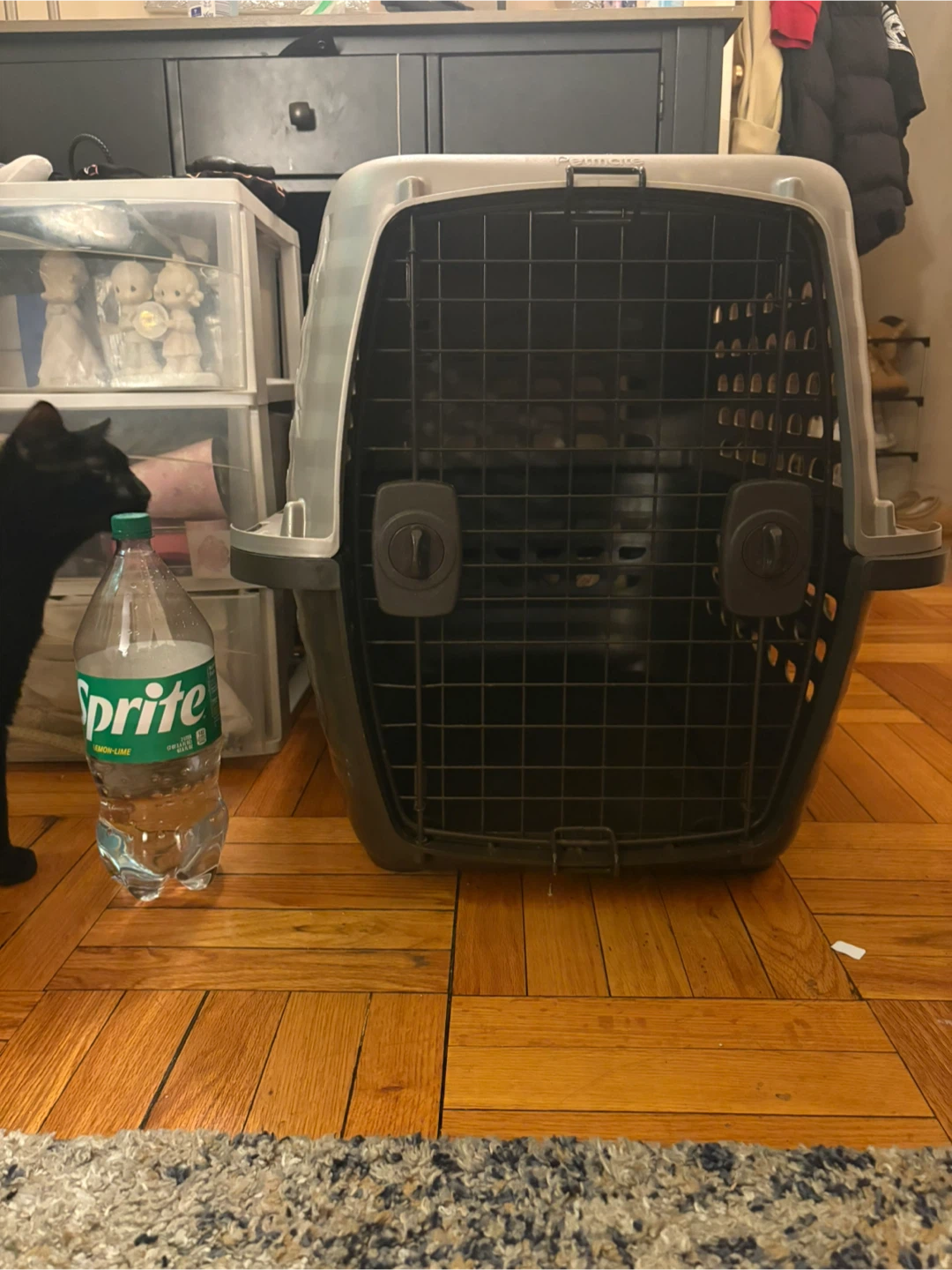 Petmate Pet Carrier