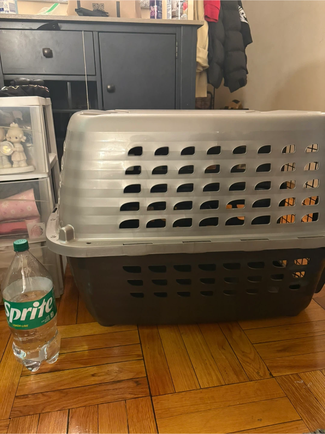 Petmate Pet Carrier - photo 2