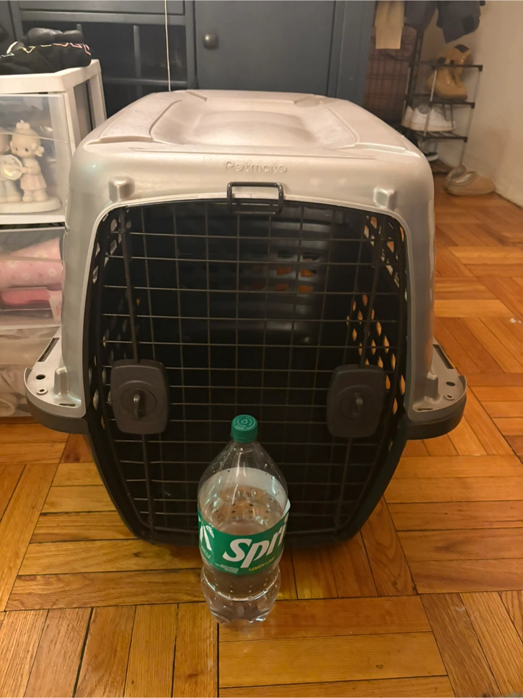 Petmate Pet Carrier - photo 5