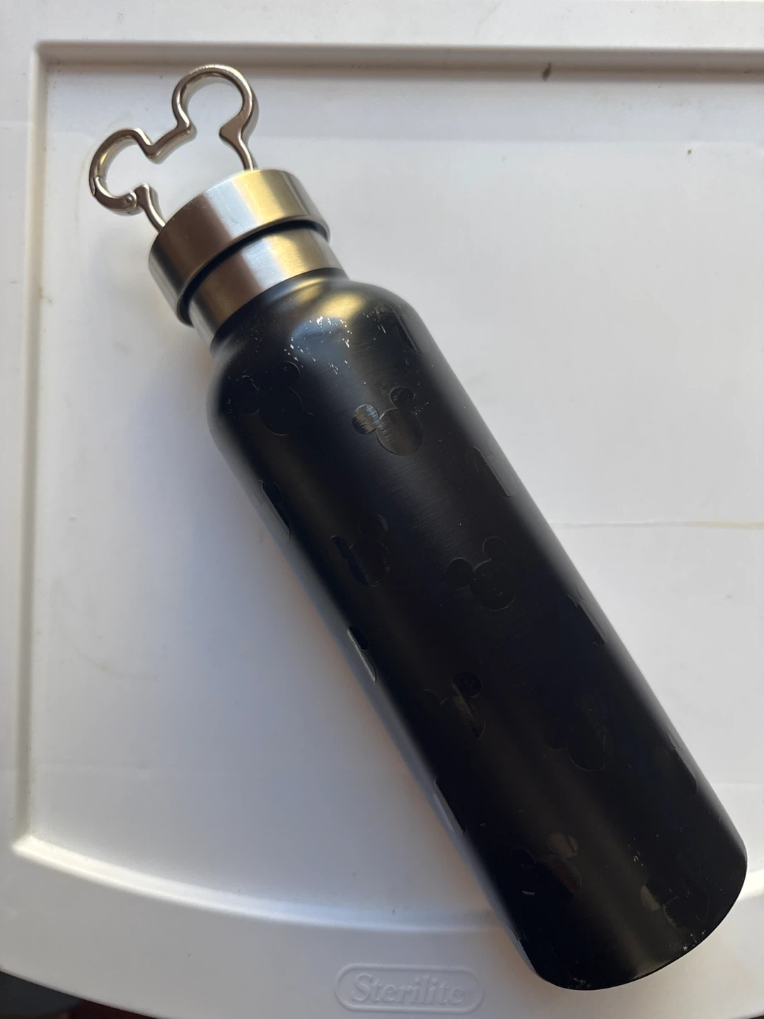 WDW parks  Mickey Mouse Water Bottle