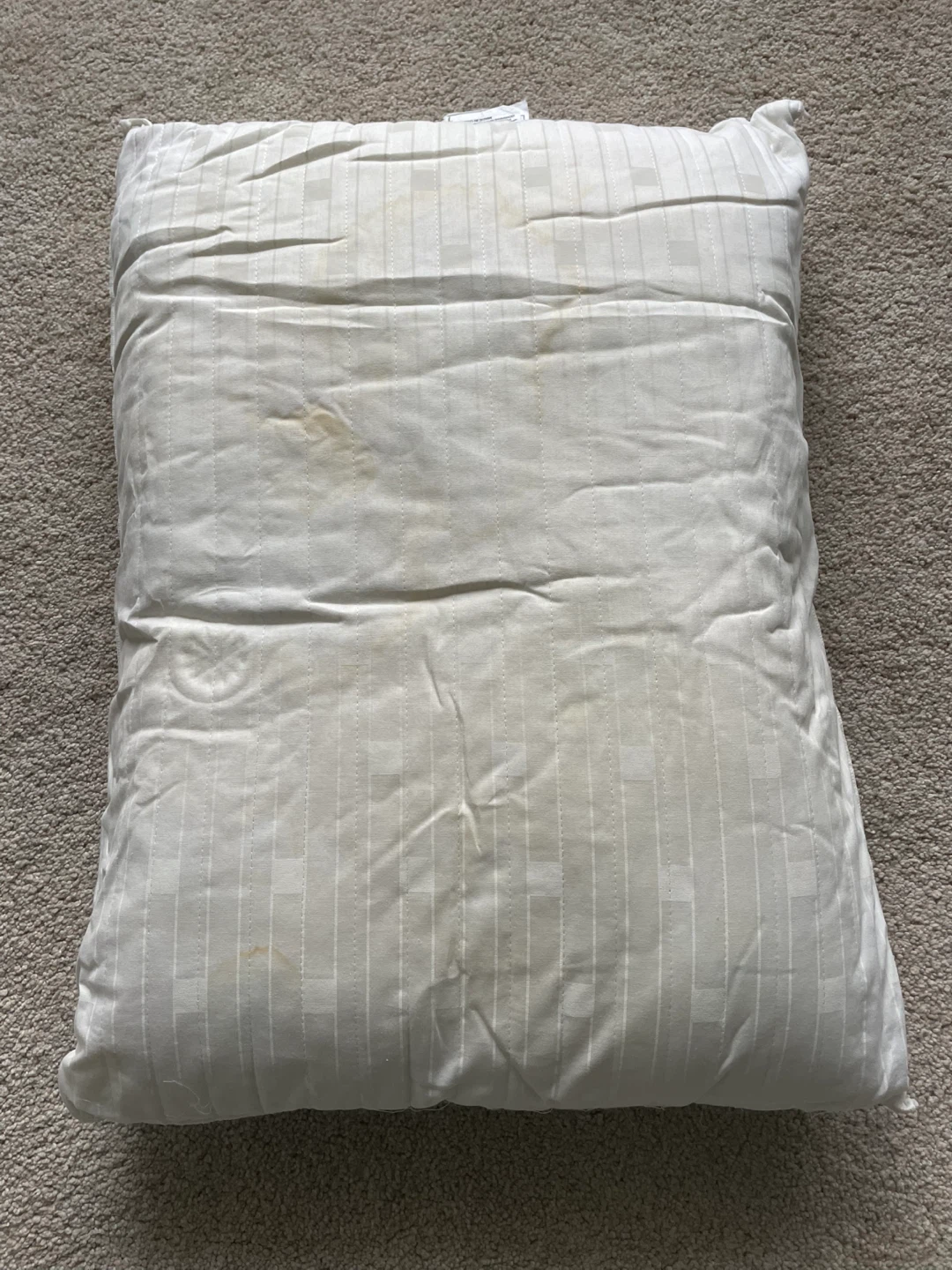 Mervyns Standard Super Firm Pillow