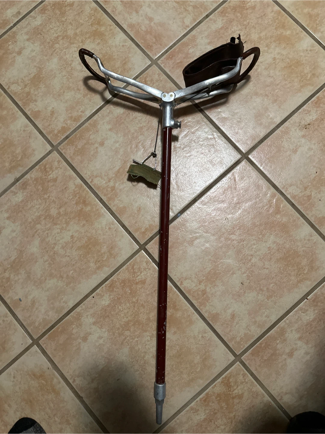Victorian shooting Seat Stick - photo 3
