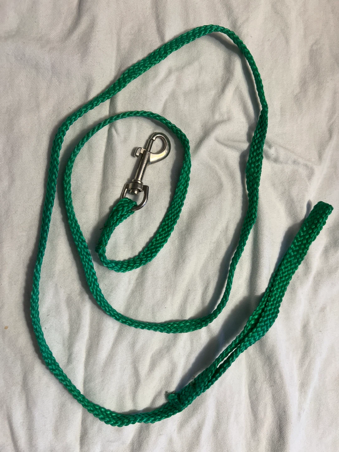 Green Dog Leash