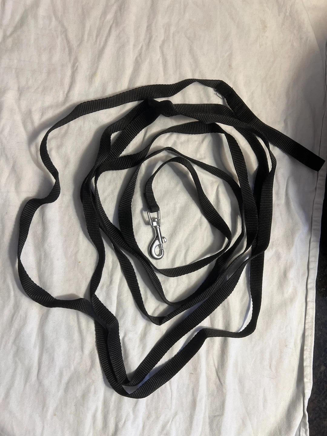 Black Nylon Dog Leash with Silver Clasp