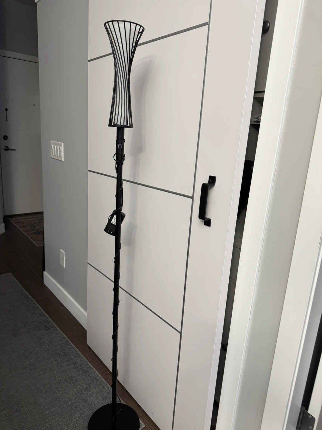 Black Metal Floor Lamp with Twisted Shade