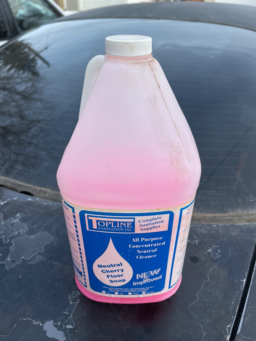 Cherry Floor Soap.