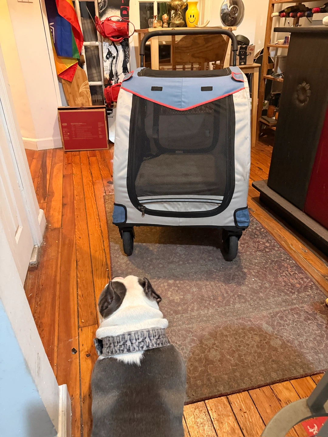 Pet Stroller/Carrier - photo 2