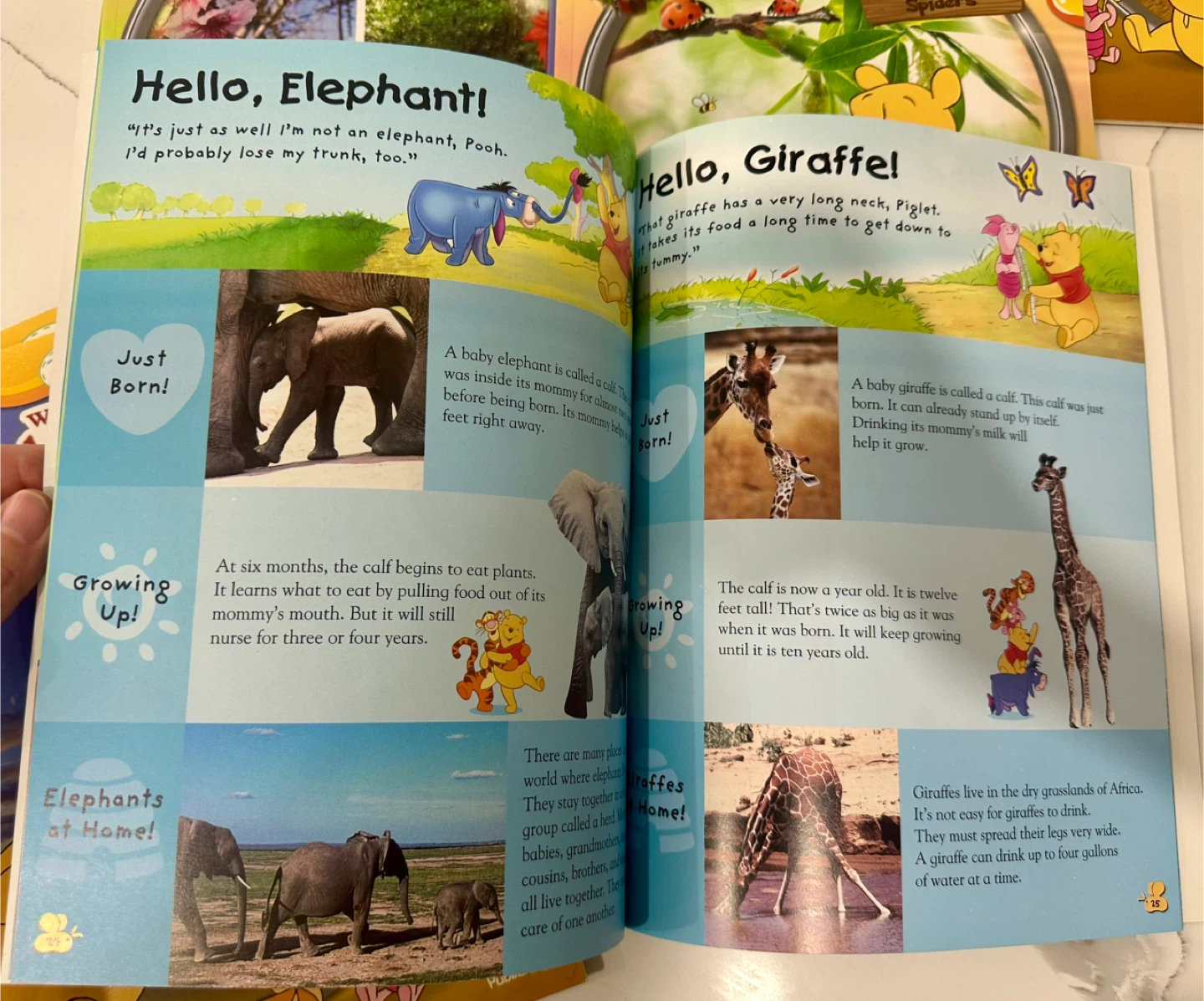 Winnie the Pooh My Very First Encyclopedia Set - photo 3