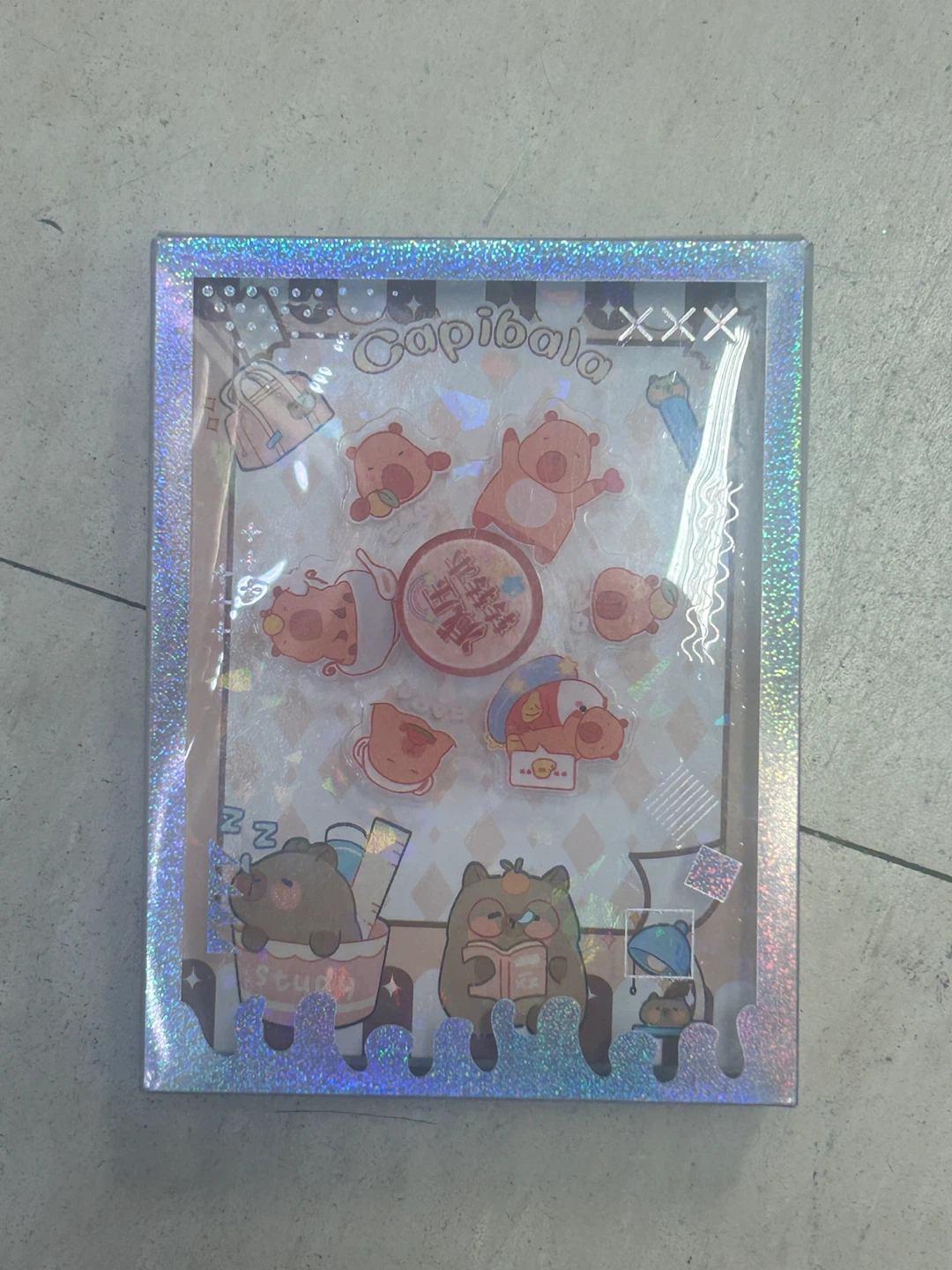 Capybara Sticker Set Journal