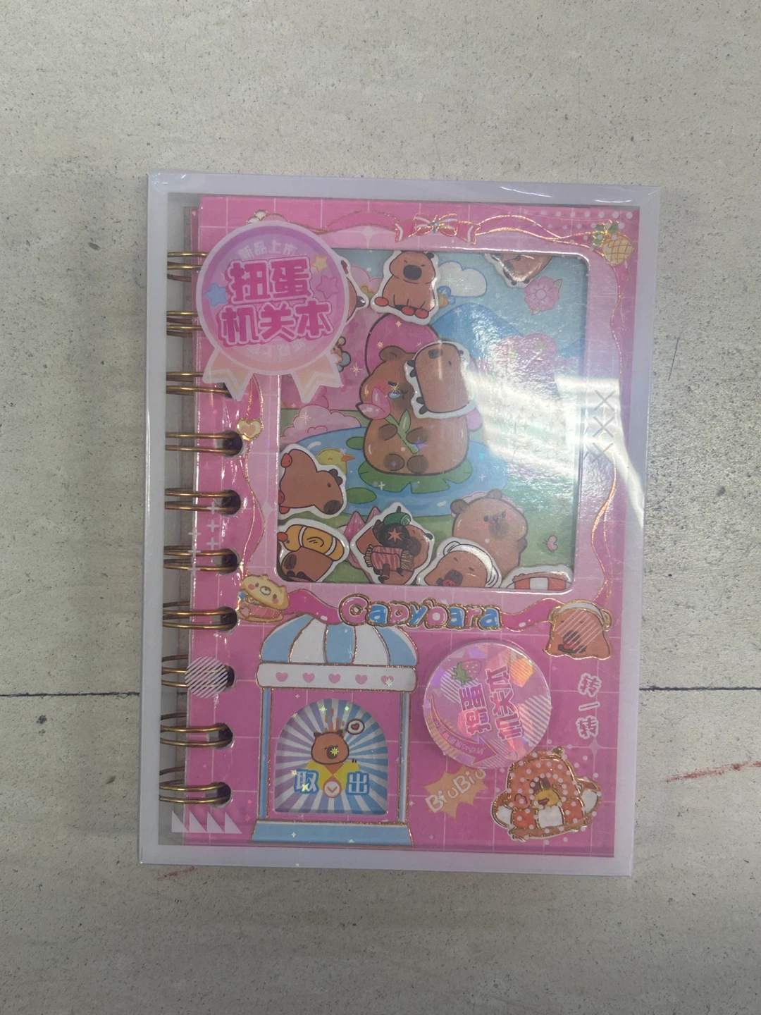 Capybara Sticker Set Journal - photo 3