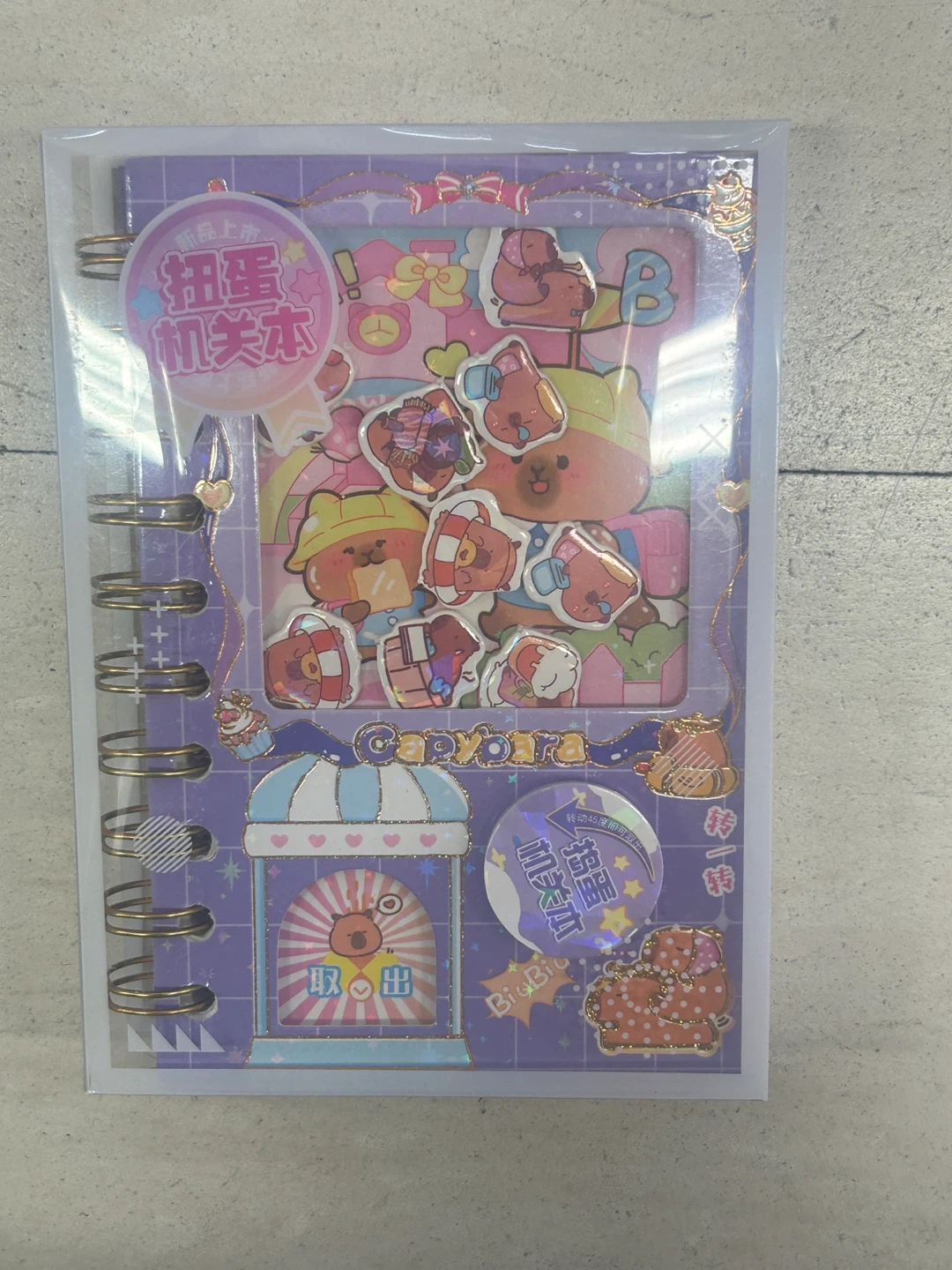 Capybara Sticker Set Journal - photo 4