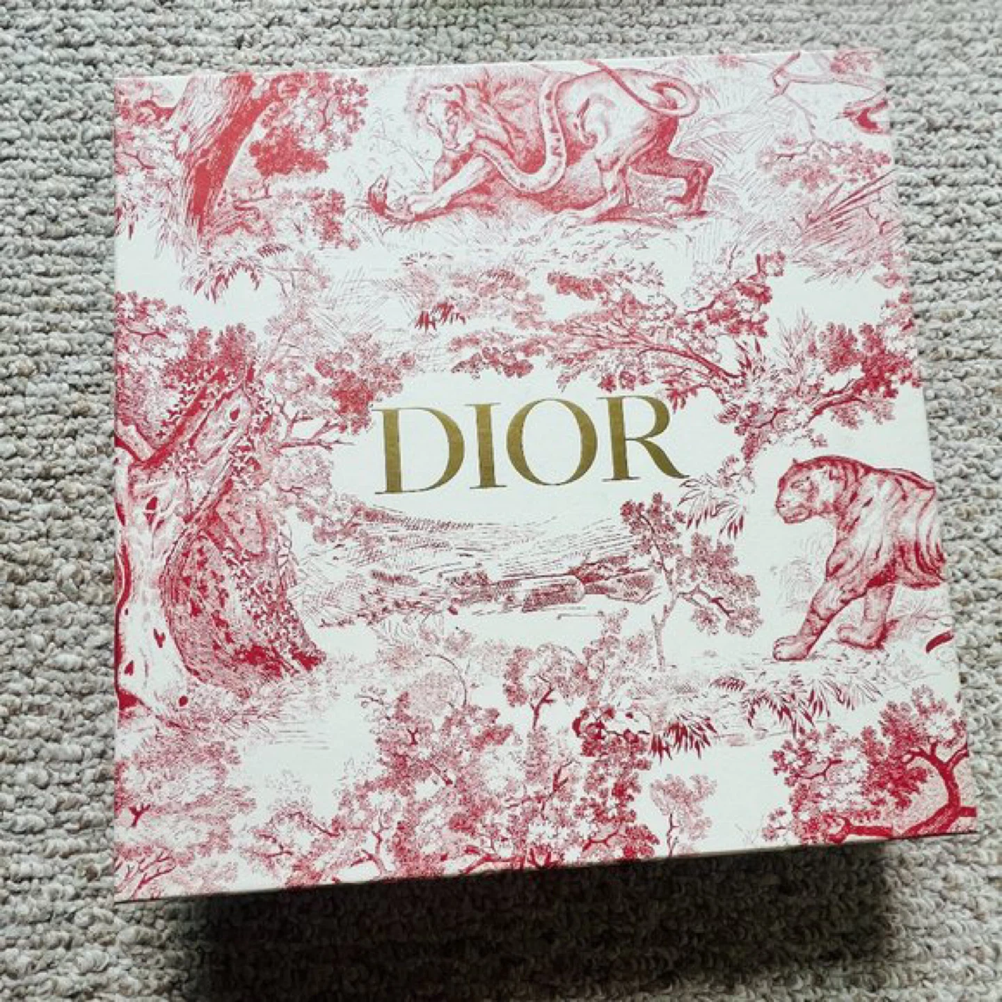Dior Water Bottle Plan de Paris 17 oz 500ml NIB - photo 5