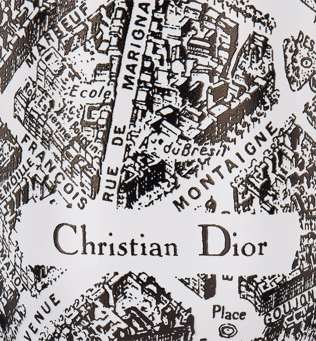 Dior Water Bottle Plan de Paris 17 oz 500ml NIB - photo 3
