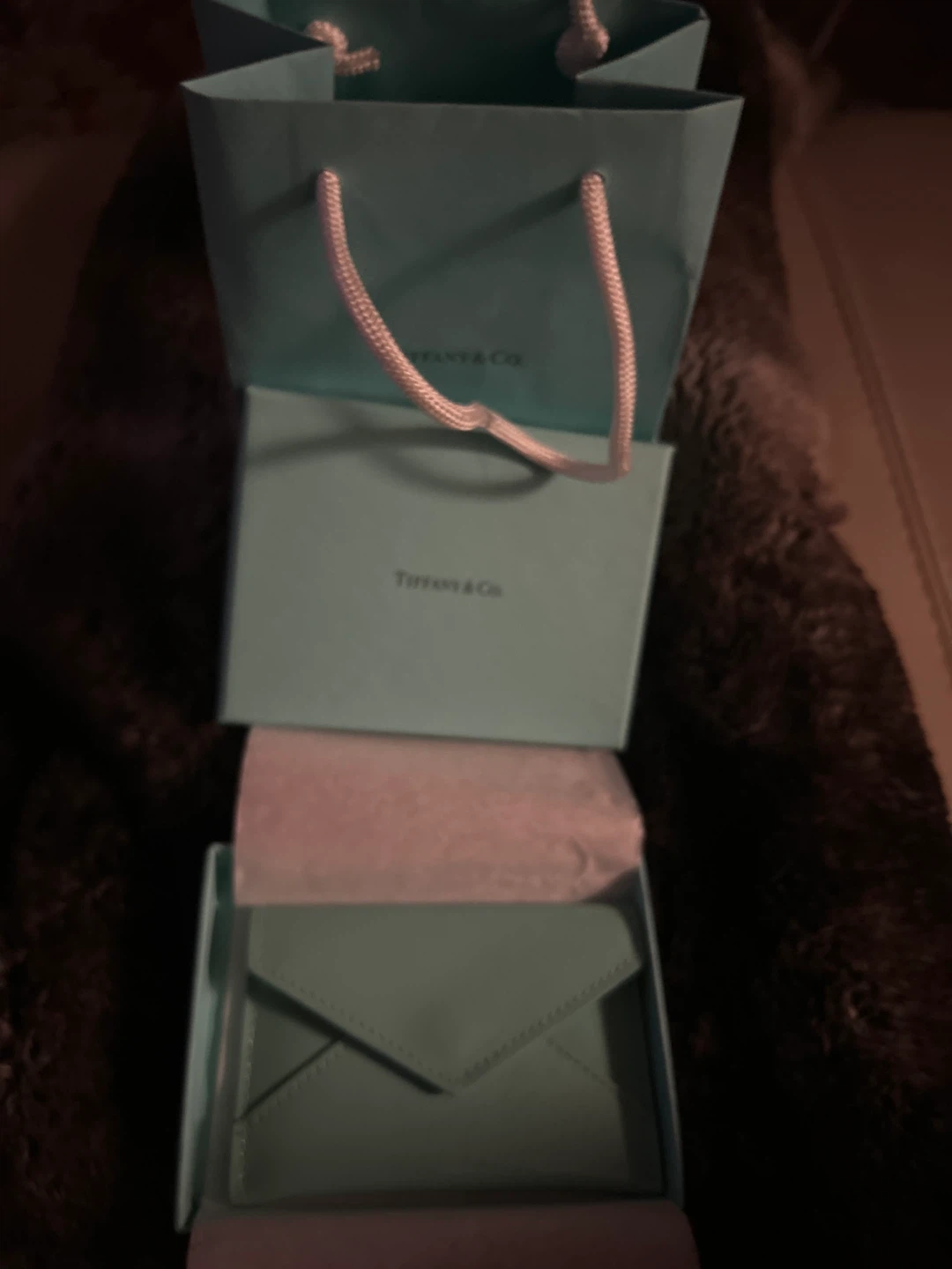 Authentic - Tiffany & Co. Card Holder