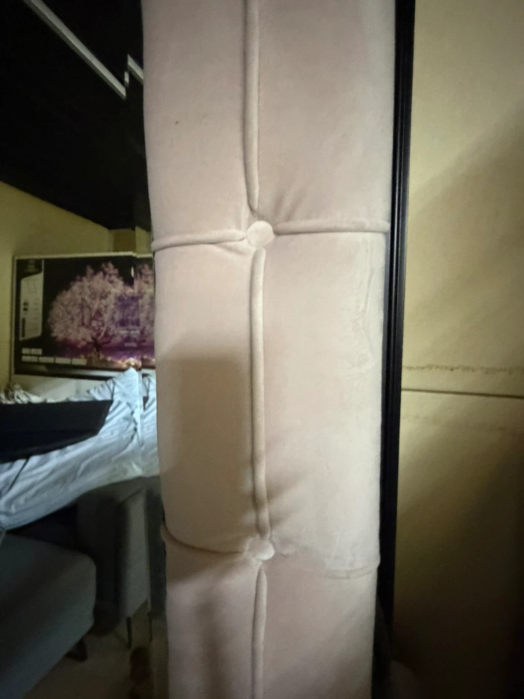 Tufted Upholstered Full Length Mirror - photo 3