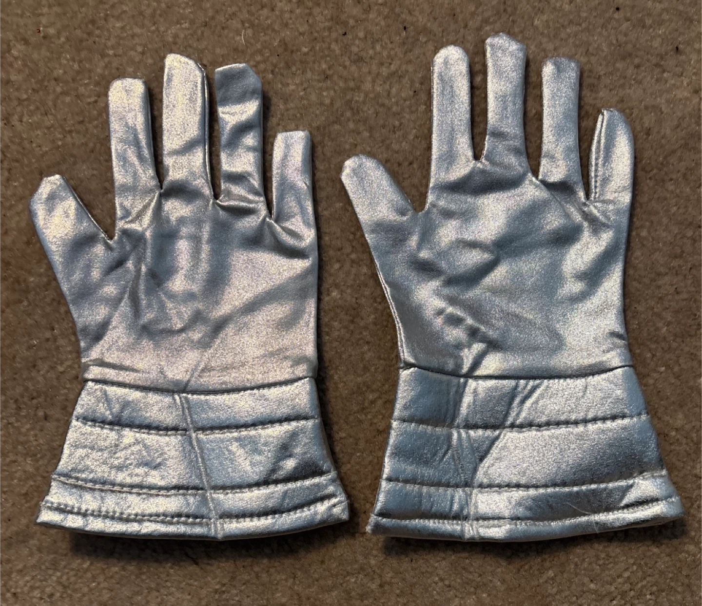Beautiful Silver Metallic Gloves