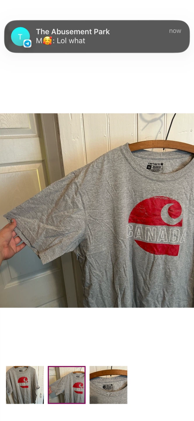 Carhartt Relaxed Fit T-Shirt Canada Graphic Grey 2XL - photo 2